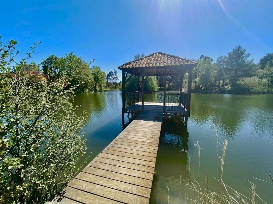 Les Restanques Cabriere 3123 Vue Mer 3 Chambres Grimaud Zewnętrze zdjęcie